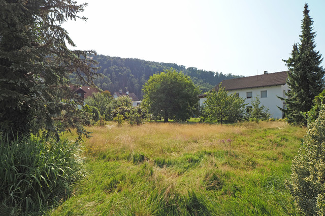 Top Gelegenheit: Traumgrundstück mit Altbestand in Feldkirch – Gisingen