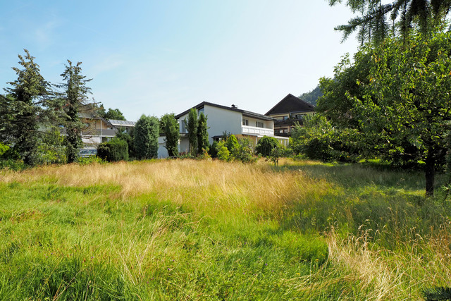 Top Gelegenheit: Traumgrundstück mit Altbestand in Feldkirch – Gisingen