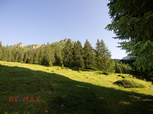 Wohnen wo der Himmel sehr nahe ist - Aussicht und Ruhe in einem vereint