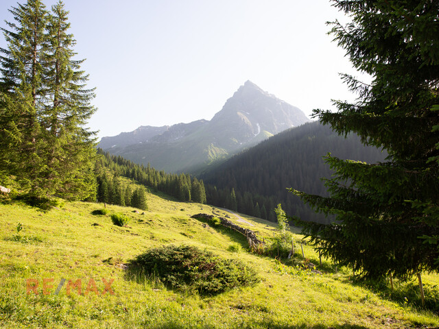 Wohnen wo der Himmel sehr nahe ist - Aussicht und Ruhe in einem vereint