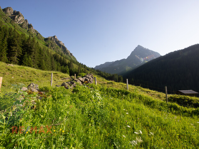 Wohnen wo der Himmel sehr nahe ist - Aussicht und Ruhe in einem vereint