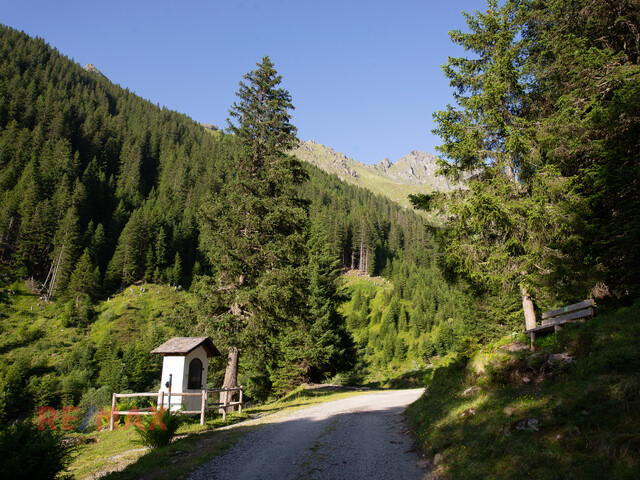 Wohnen wo der Himmel sehr nahe ist - Aussicht und Ruhe in einem vereint