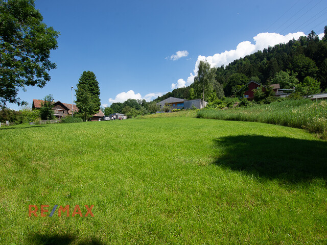 Wunderschönes Grundstück am Waldrand in prominenter Dornbirner Lage