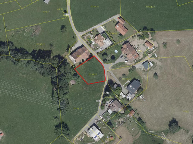 Wunderschönes Grundstück am Waldrand in prominenter Dornbirner Lage