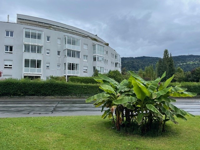 Doppelstöckige Dachterrassenwohnung mit Seeblick in Lochau zu vermieten !