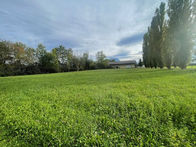 Ruhiges Grundstück in Meiningen