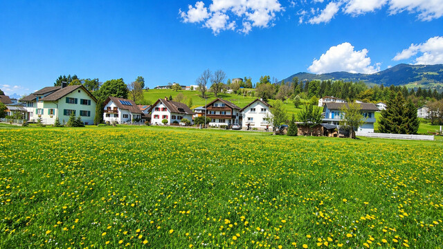 Wunderschön gelegenes Baugrundstück in Schlins