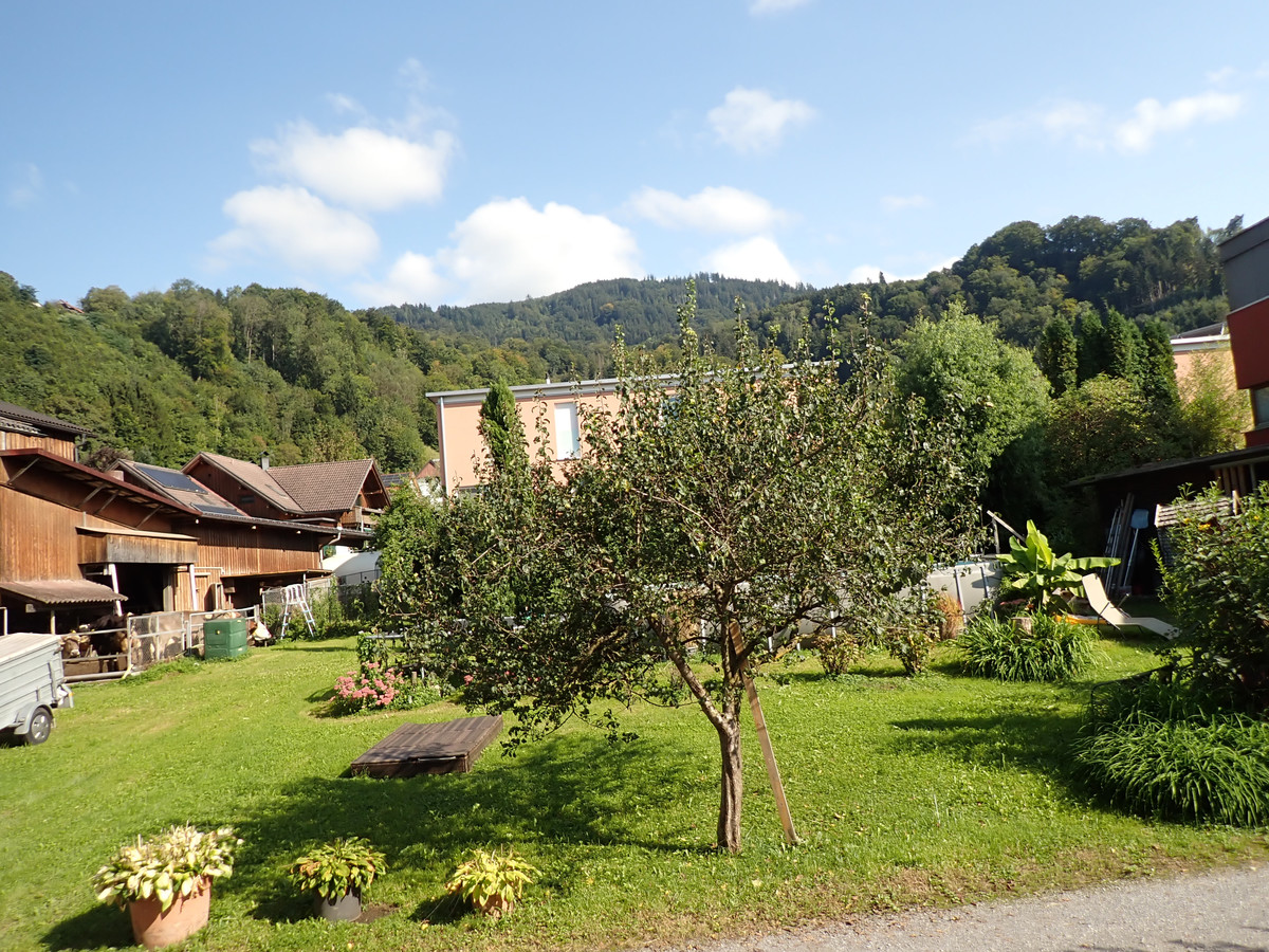 Dornbirn... Baugrundstück, ideale Ausrichtung nach Süden, praktische Größe, verkehrsberuhigt und am Ende einer Sackgasse…