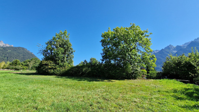 Sonniges Grundstück in ruhiger Lage