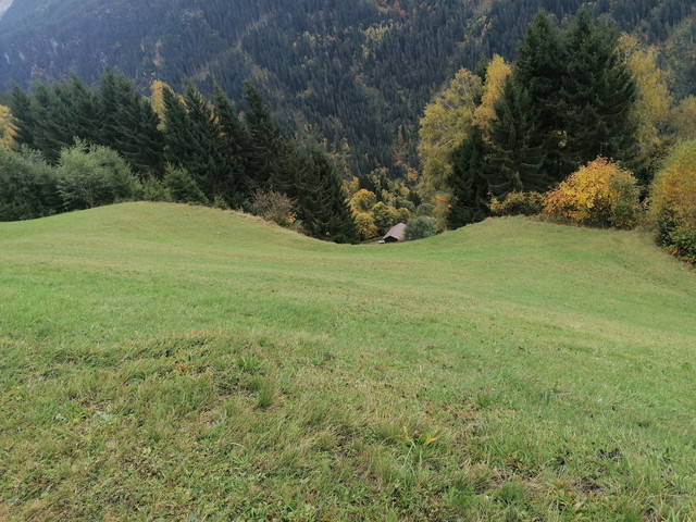 Landwirtschaftliches Anwesen mit Vermietungsmöglichkeit