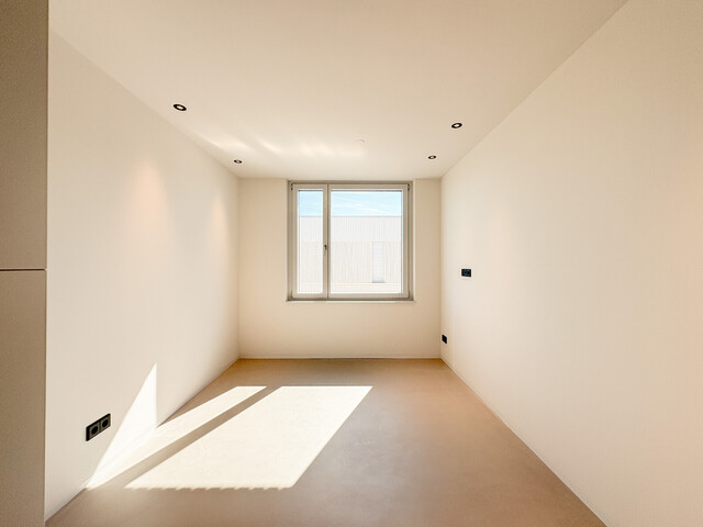 Penthouse der Extraklasse über den Dächern von Fußach