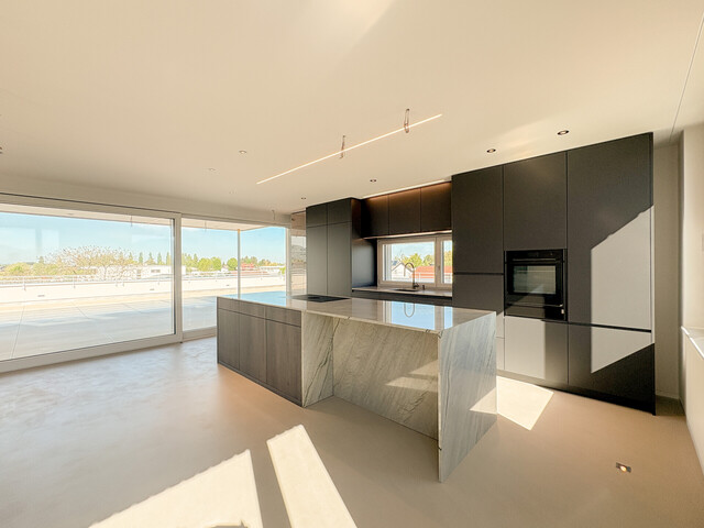 Penthouse der Extraklasse über den Dächern von Fußach