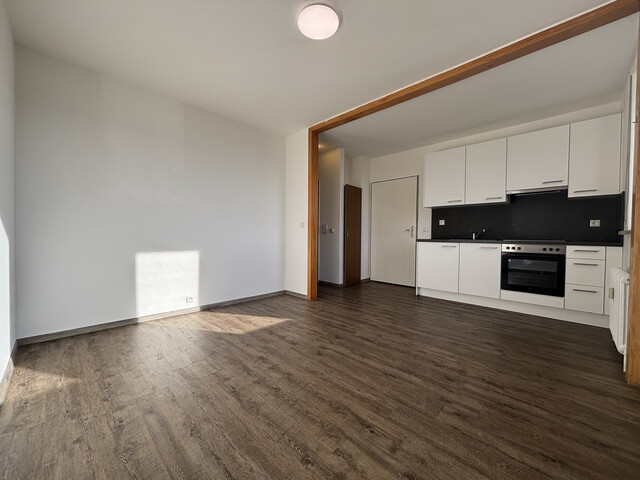 "ohne Provision" gemütliche, helle 2 Zimmer Wohnung