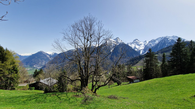 Grundstück mit Ferienhauswidmung zu verkaufen - 686 m²