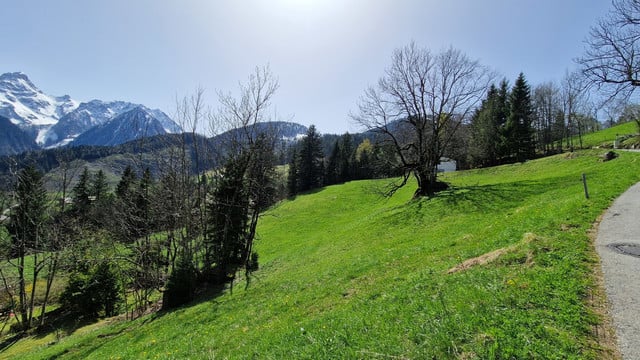 Grundstück mit Ferienhauswidmung zu verkaufen - 447m²