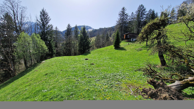 Grundstück mit Ferienhauswidmung zu verkaufen - 797m²