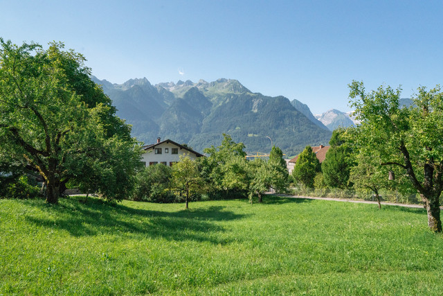 Grundstück in erhöhter Lage von Bludenz - mit Panoramablick!