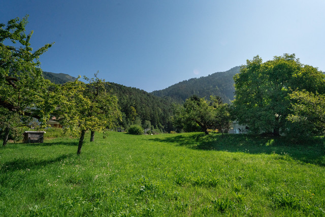 Grundstück in erhöhter Lage von Bludenz - mit Panoramablick!