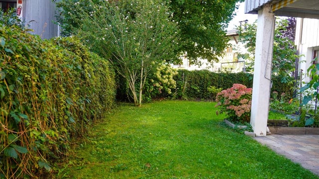 3-Zimmer Gartenwohnung in Dornbirn