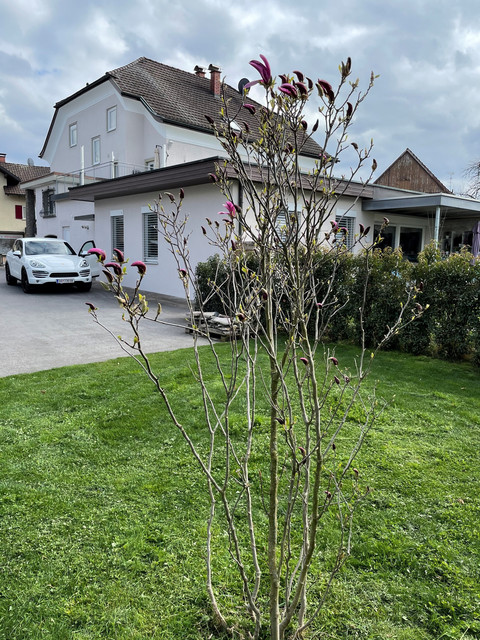 Moderne Gartenwohnung in Stickerei Villa mit überdachter Terrasse und Privatgarten & Carport & Aussenparkplatz Raumhöhe 3m - Top Ausstattung!