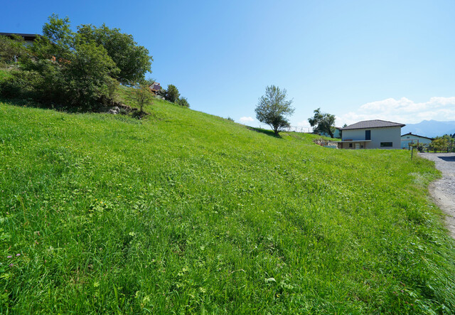 Baugrund in Koblach zu verkaufen