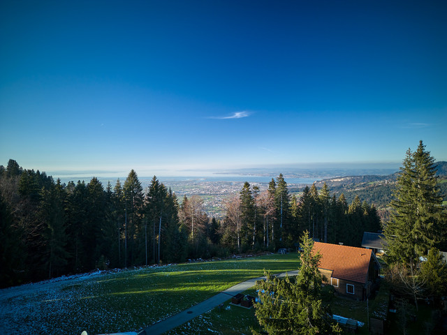 Dornbirn - am Fuße des Bödele: Einzigartiges Refugium - Waldlage mit Seeblick - Provisionsfrei!