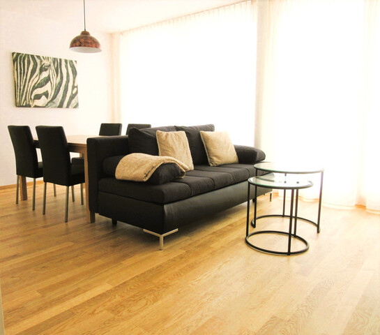 Schöne, möblierte 2-Zimmer-Gartenwohnung in Schoppernau