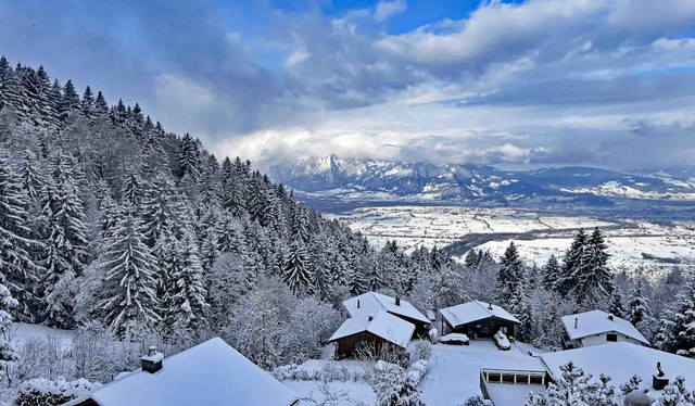 Edles Ferienhaus über dem Rheintal