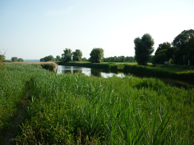 Besonderes Grundstück in unmittelbarer Nähe zum Bodensee