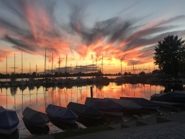 Besonderes Grundstück in unmittelbarer Nähe zum Bodensee