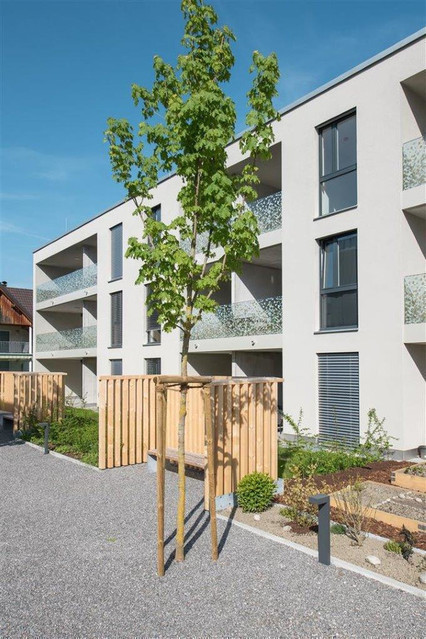 SOFORTBEZUG! Tolle 3-Zimmer-Eck-Terrassen-Wohnung in Feldkirch-Altenstadt "REBBÜNDTEN 29" zu verkaufen!