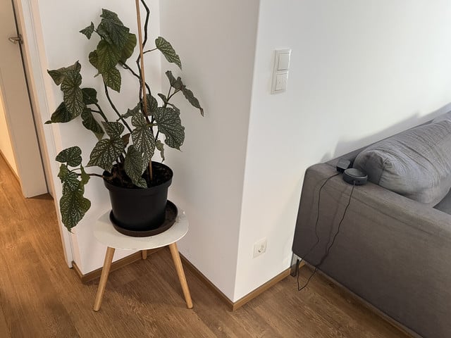 € 1.000,- mit Betriebskosten für 2 Zimmer Wohnung für Single oder Pärchen, 48m2, Neubau, Nichtraucherwohnung