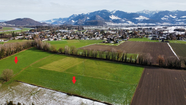 Landwirtschaftliche Flächen  - 46.000 m² - in Meiningen.