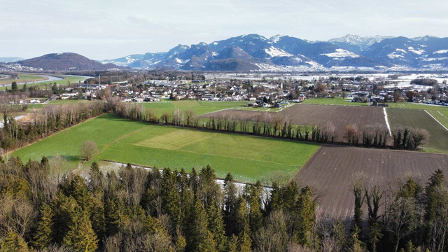 Landwirtschaftliche Flächen  - 46.000 m² - in Meiningen.