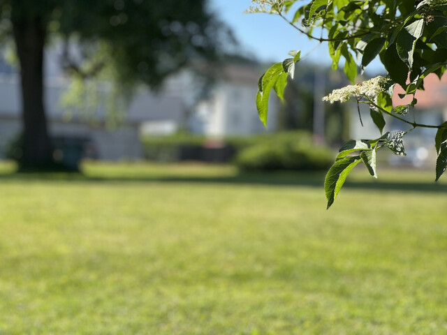 Leistbares Baugrundstück - 432 m2