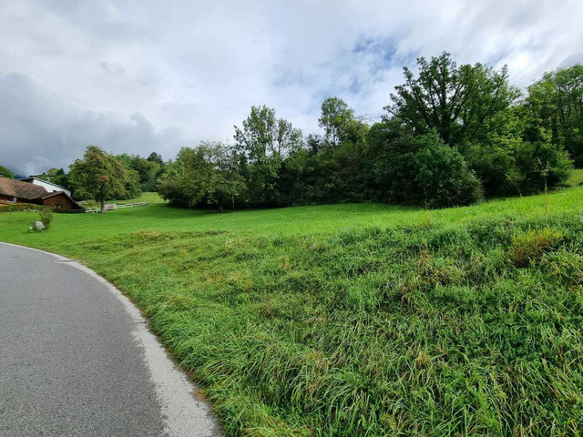 Herrliche Lage! Grundstück in verschiedenen Größen in Ludesch!