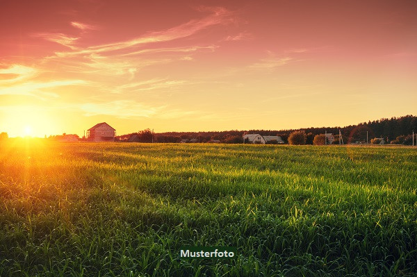 Land- und Forstwirtschaftliche Liegenschaft