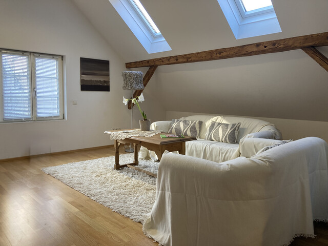 Loftartige Dachgeschoss-Wohnung in naturnaher Lage!