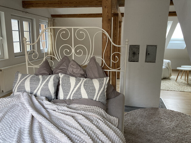 Loftartige Dachgeschoss-Wohnung in naturnaher Lage!