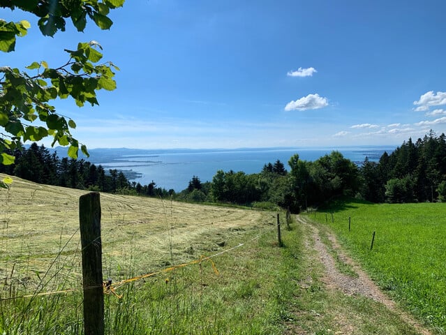 Wohnen am Bodensee: 3Zimmer Gartenwohnung in Toplage nur etwa 150 Meter vom Bodenseeufer – 3 Zi. Garten Wohnung