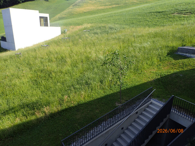 Privatverkauf / Grundstück mit traumhaften Blick Richtung Liechtenstein