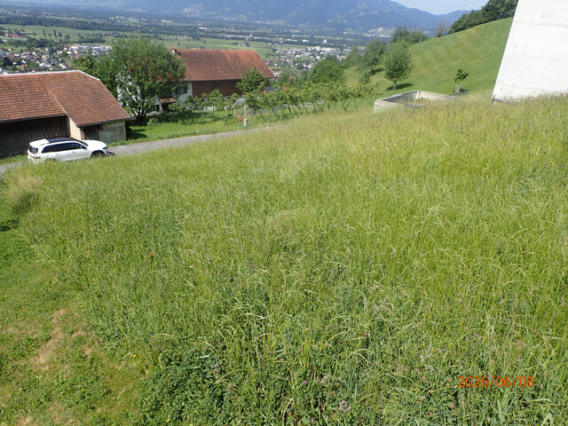 Privatverkauf / Grundstück mit traumhaften Blick Richtung Liechtenstein