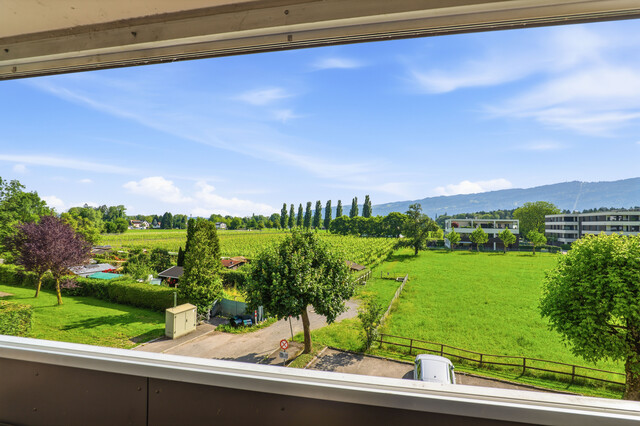 Wohnen in Seenähe – Ruhige 3-Zimmer-Wohnung mit Balkon