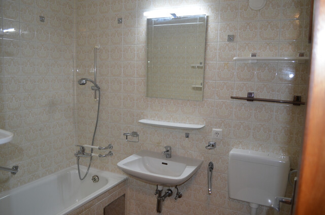 Geräumige 1-Zimmerwohnung im Wellenau zu vermieten (nach Absprache)