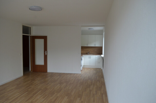 Geräumige 1-Zimmerwohnung im Wellenau zu vermieten (nach Absprache)