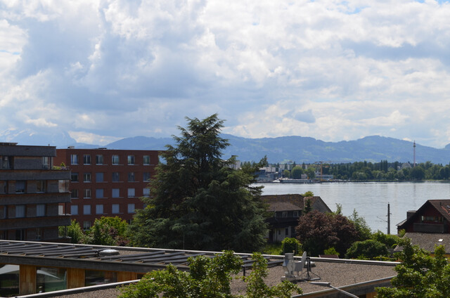 Geräumige 1-Zimmerwohnung im Wellenau zu vermieten (nach Absprache)