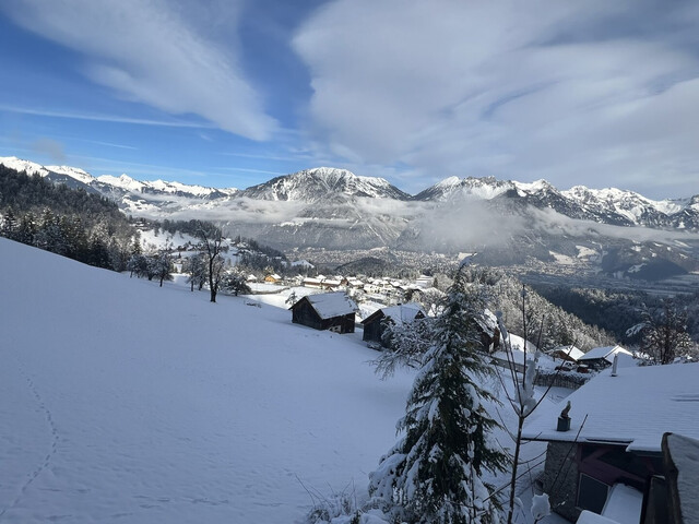 Chalet mit Ferienwohnsitz, Variante 1