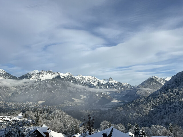 Chalet mit Ferienwohnsitz, Variante 1