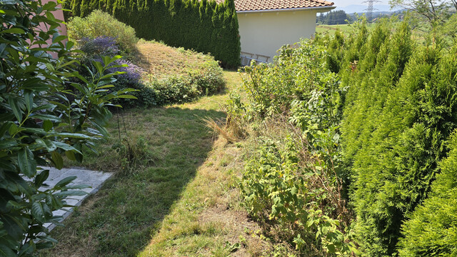 ❤️ Bei Interesse handle sofort.  Ein echtes Zuhause zum Verlieben – Familienglück in Hohenweiler,  Privatverkauf