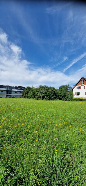 Doppelhaus NEU mit Studio 145 m² € 666.000,00 + WBF in Altach!